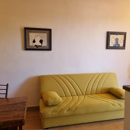 Agriturismo Terranera Scansano Εξωτερικό φωτογραφία