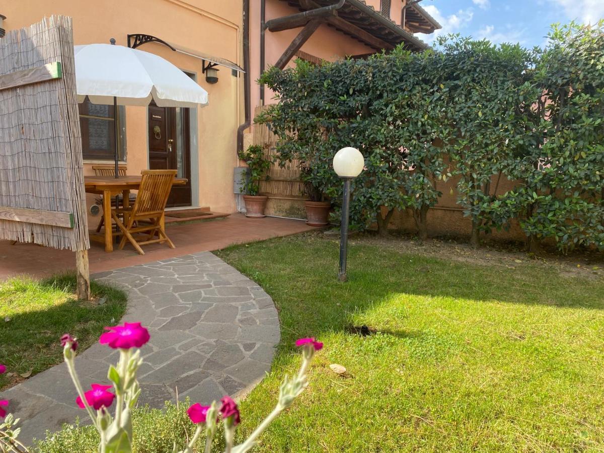 Agriturismo Terranera Scansano Εξωτερικό φωτογραφία