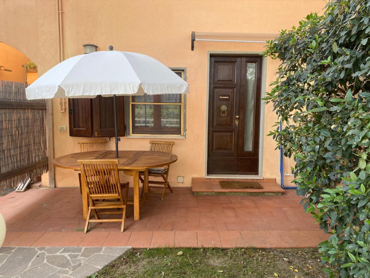Agriturismo Terranera Scansano Εξωτερικό φωτογραφία