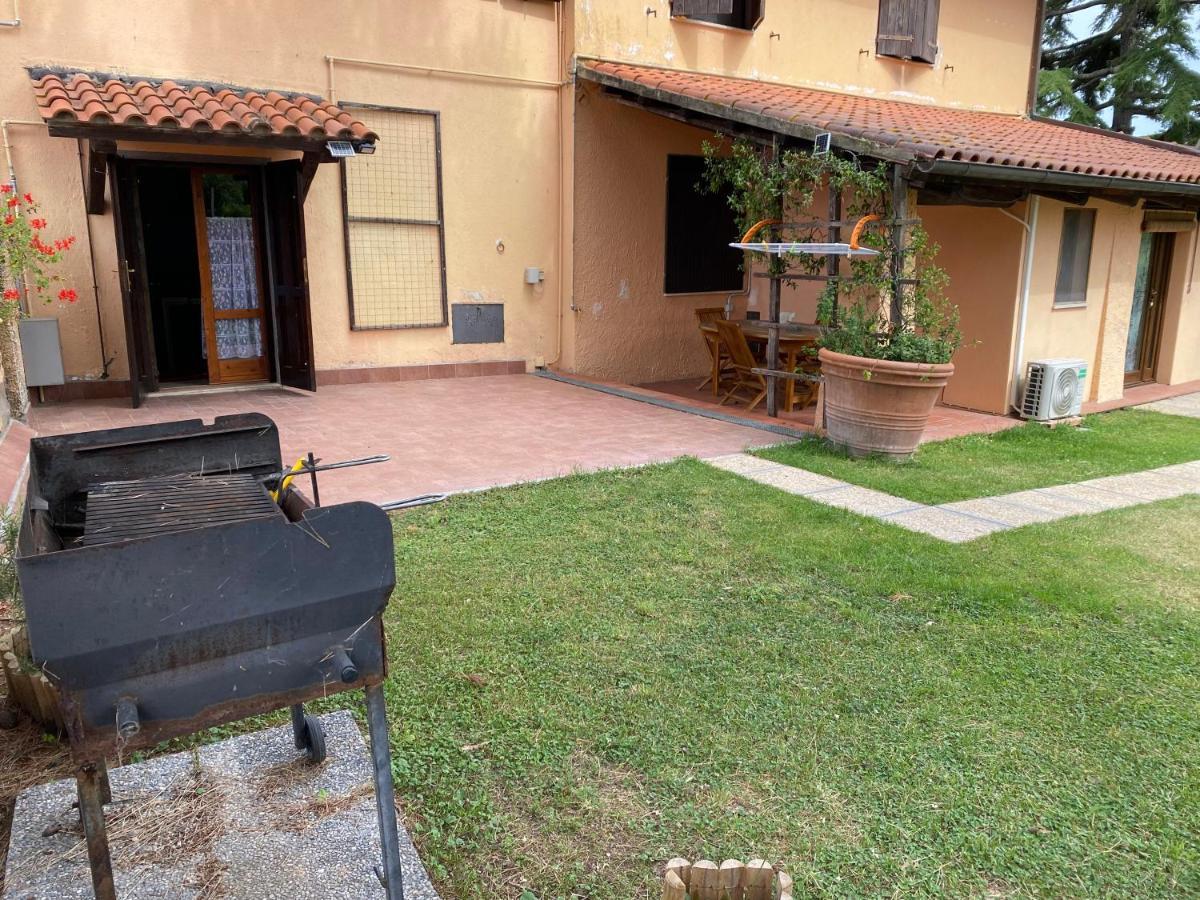 Agriturismo Terranera Scansano Εξωτερικό φωτογραφία