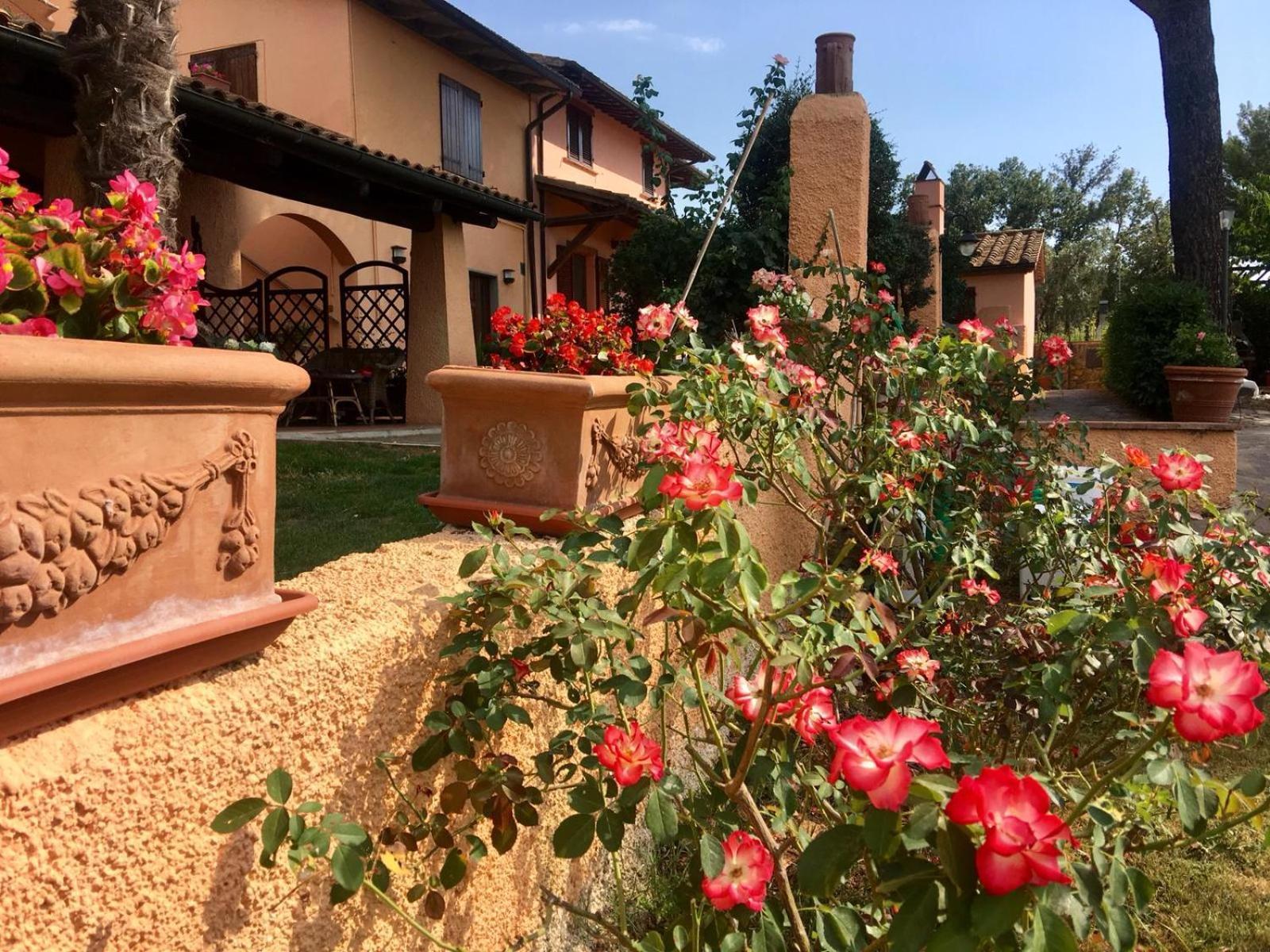 Agriturismo Terranera Scansano Εξωτερικό φωτογραφία