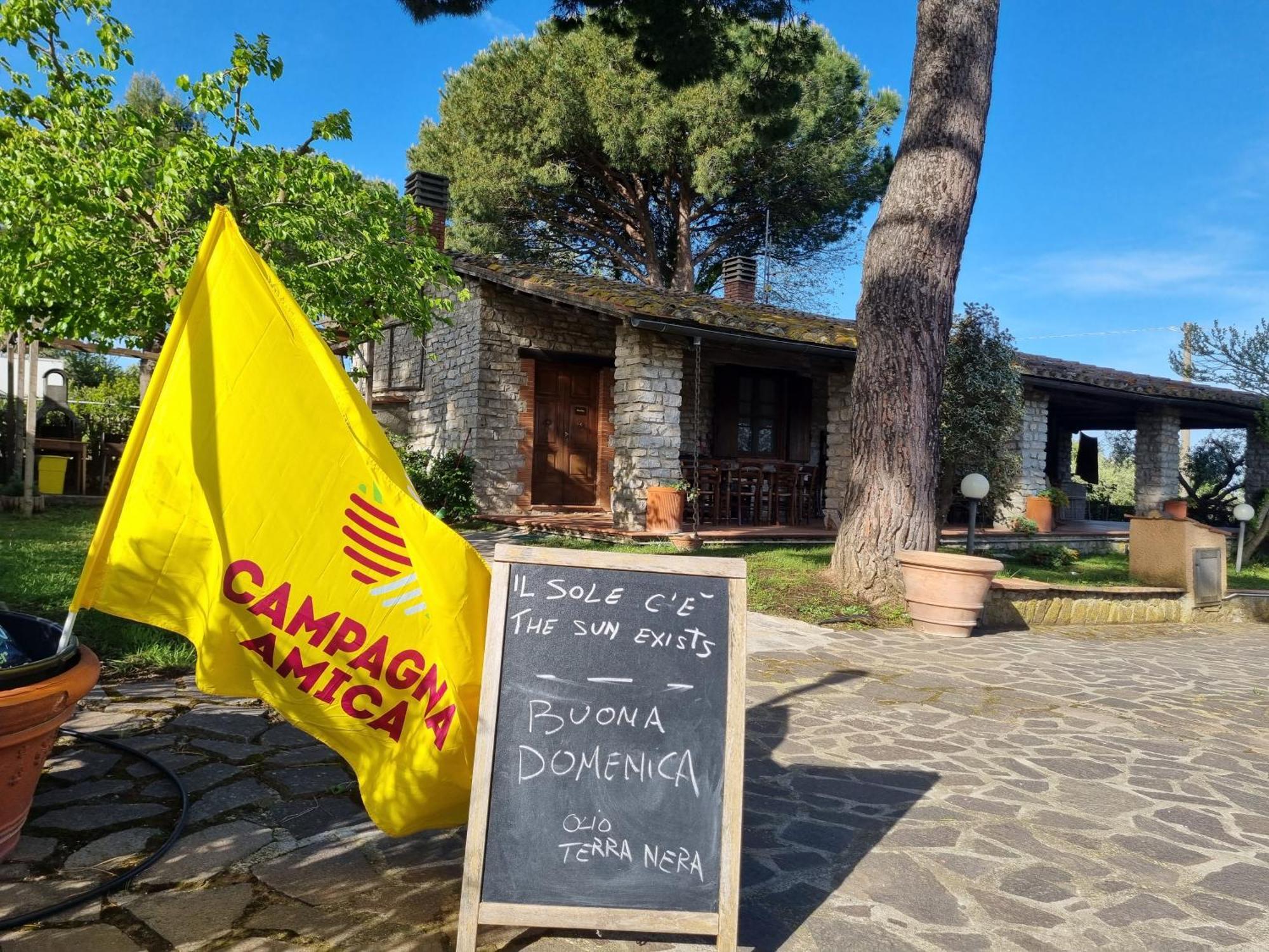 Agriturismo Terranera Scansano Εξωτερικό φωτογραφία