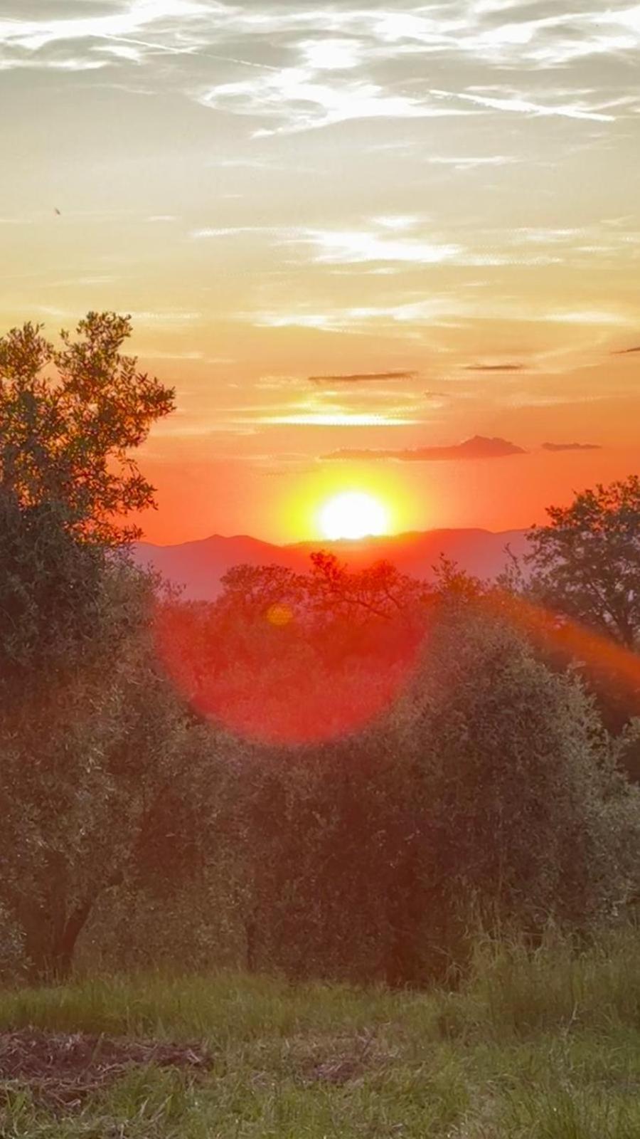 Agriturismo Terranera Scansano Εξωτερικό φωτογραφία