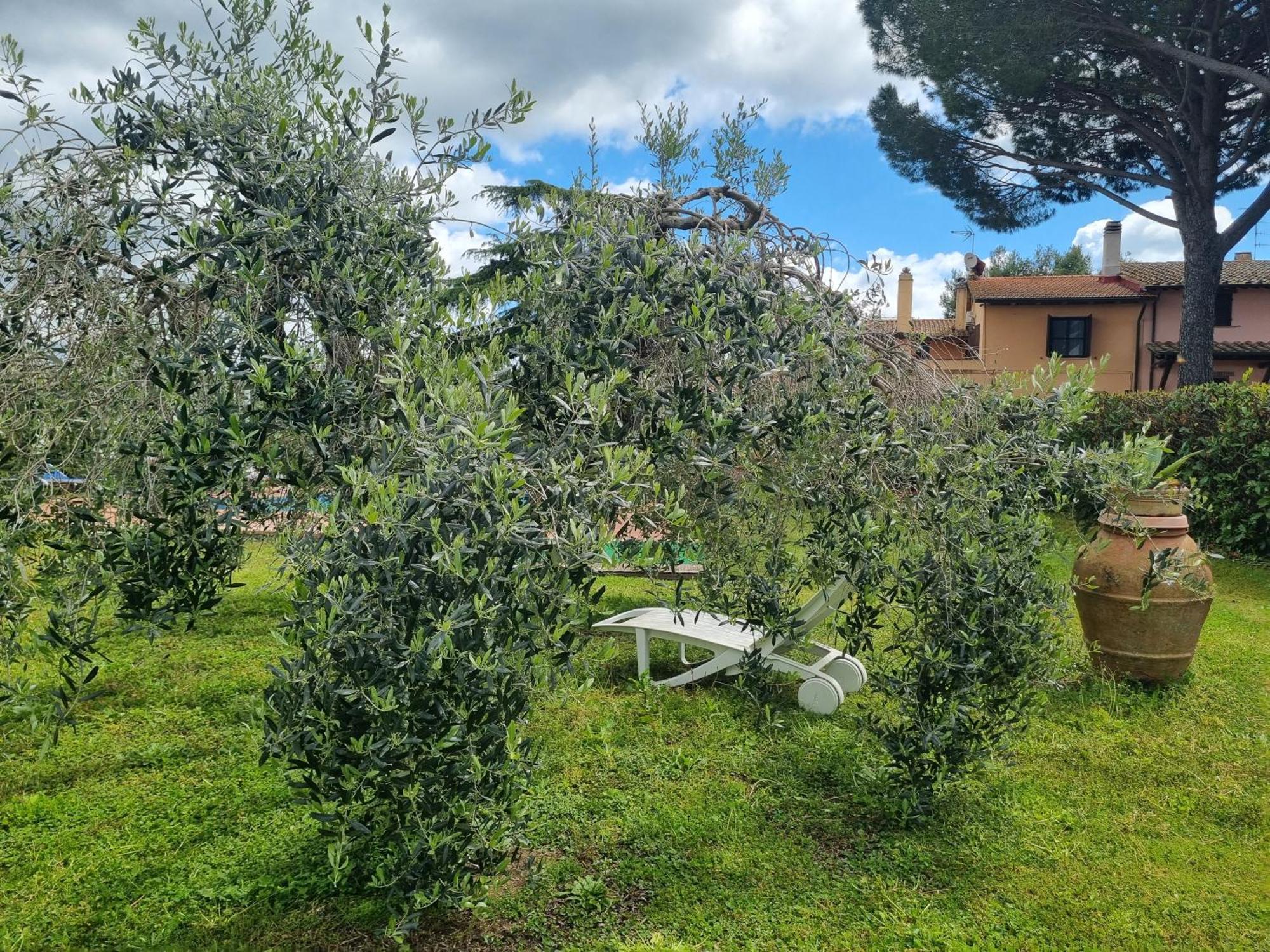 Agriturismo Terranera Scansano Εξωτερικό φωτογραφία