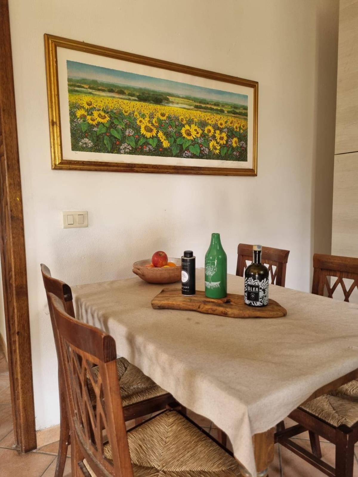 Agriturismo Terranera Scansano Εξωτερικό φωτογραφία
