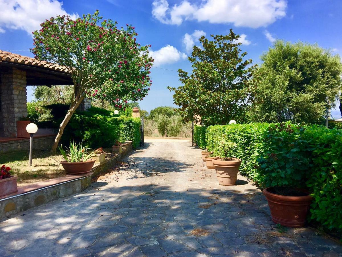 Agriturismo Terranera Scansano Εξωτερικό φωτογραφία