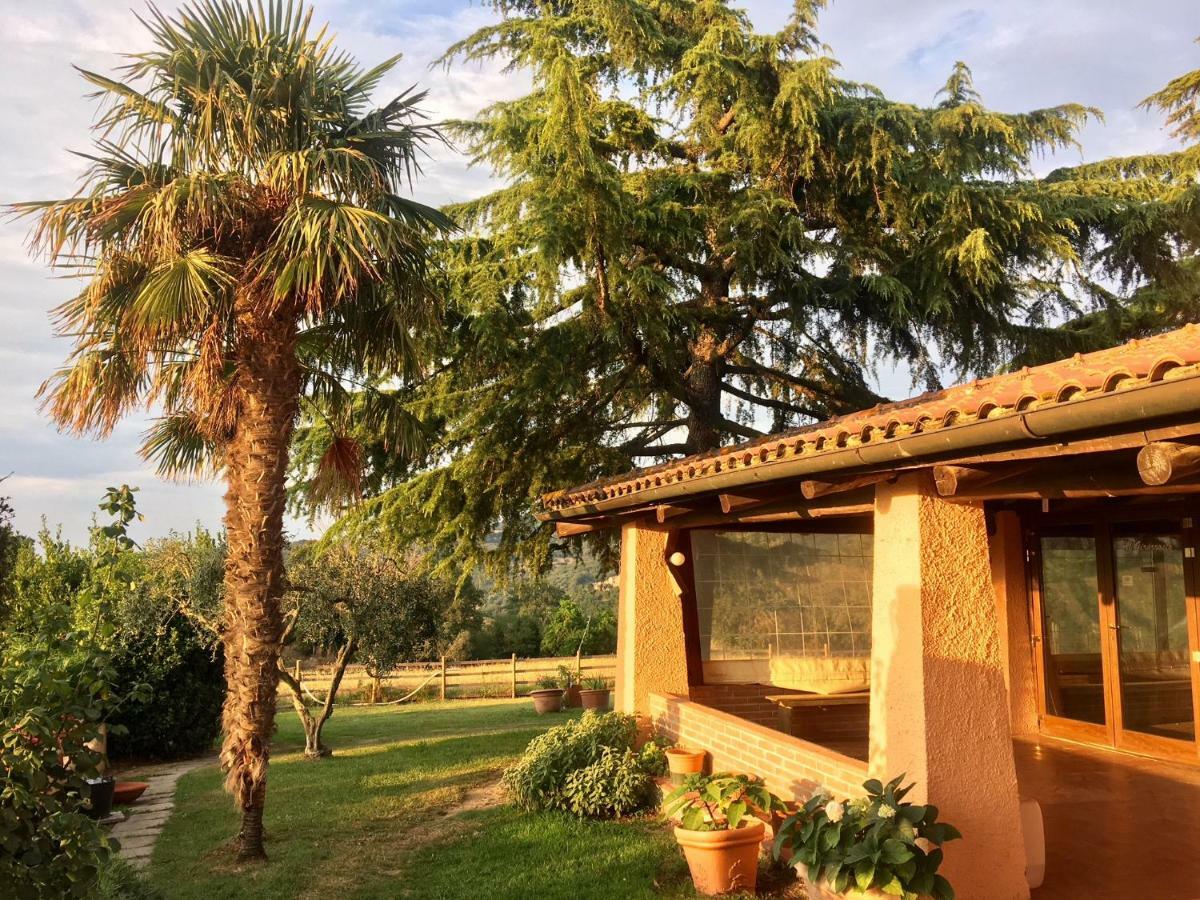 Agriturismo Terranera Scansano Εξωτερικό φωτογραφία