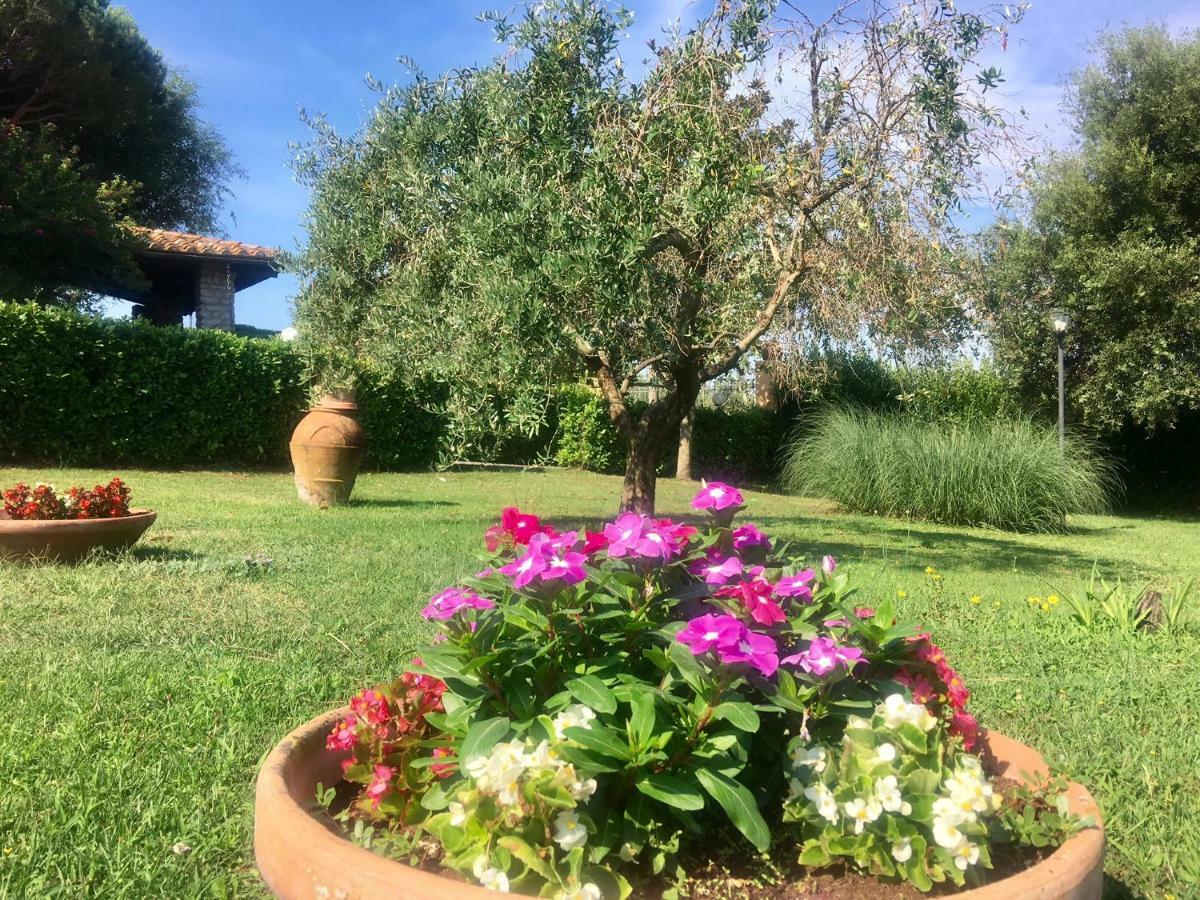 Agriturismo Terranera Scansano Εξωτερικό φωτογραφία